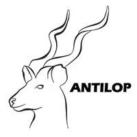 Antilop
