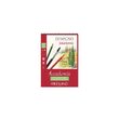 Bloc desen A5  Accademia Disegno 200g  cu spirala 30 file Fabriano