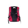 Rucsac Pulse Element Imperial Red