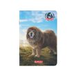 Caiet A4, 80 File 70g/MP Dictando, colturi rotunjite Motiv BOSS PHANTOM