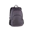 Ghiozdan Pulse Fusion Cationic Gray 121803