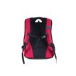 Rucsac Pulse Element Imperial Red