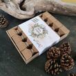 Christmas Crackers" Gift Set, Great Taste Award-Winning Oil Selection (Organic Sunflower Seed Oil, Hazelnut Oil, Mustard Seed Oil, Grape Seed Oil)