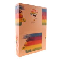 Hartie colorata A4 80 g/mp CLARIANA