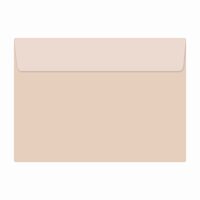 Plic color siliconic PC13C DACO