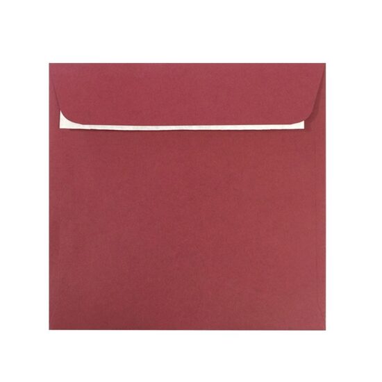 Plic patrat siliconic Visiniu PC1616B DACO
