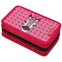 PENAR ECHIPAT 31 PIESE 3 FERMOARE MOTIV CUTE ANIMALS ZEBRA HERLITZ