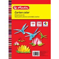 Carton Color A4 160gr Top 100 Diverse Culori Herlitz