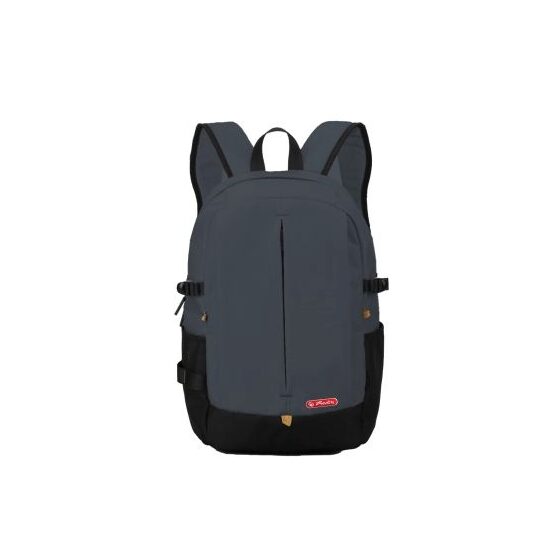 Rucsac Sport, dimensiune 44x31x16cm, gri deschis, Herlitz