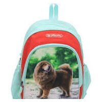 Rucsac Herlitz, Cool, dimensiune 31 x 20 x 12 cm, motiv Boss Phantom Red