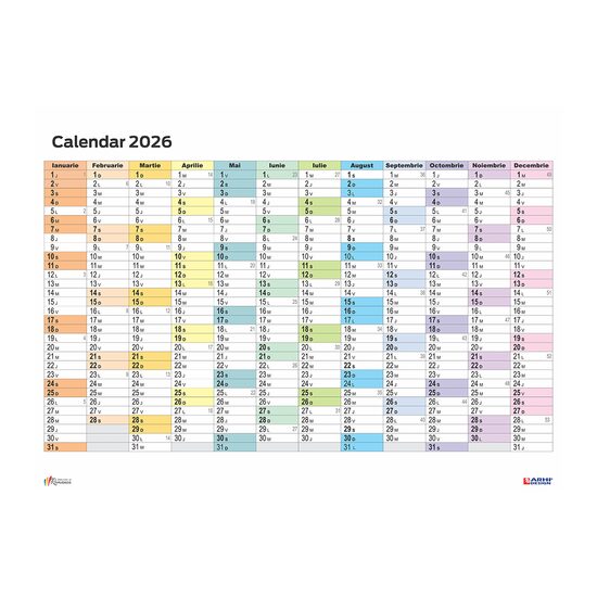Calendar Planner de Perete ARH 63x86 cm