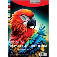 HARTIE COLOR A4 10CUL 100/TOP 70G PAPERLAND